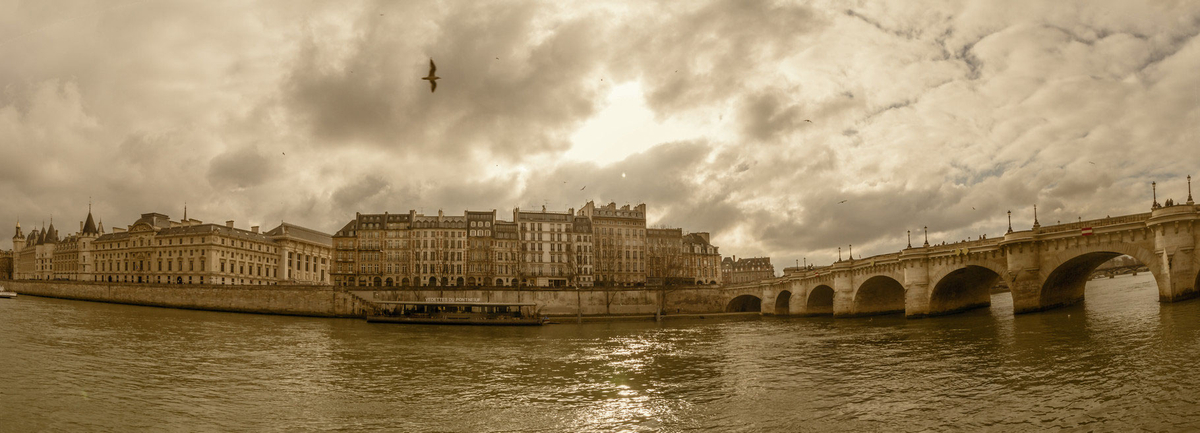 seinebrücke-pont-neuf