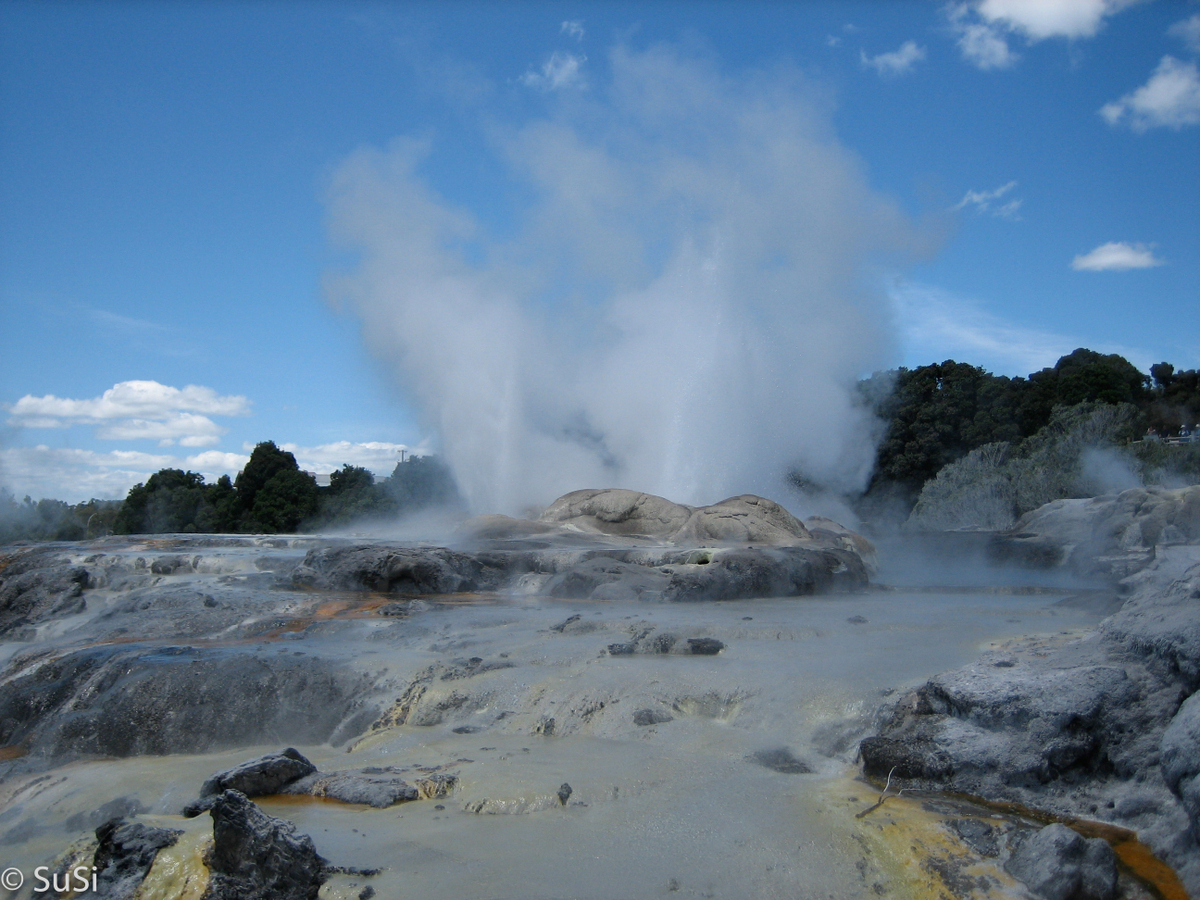 Roturua - Te Puia Thermal Reserve