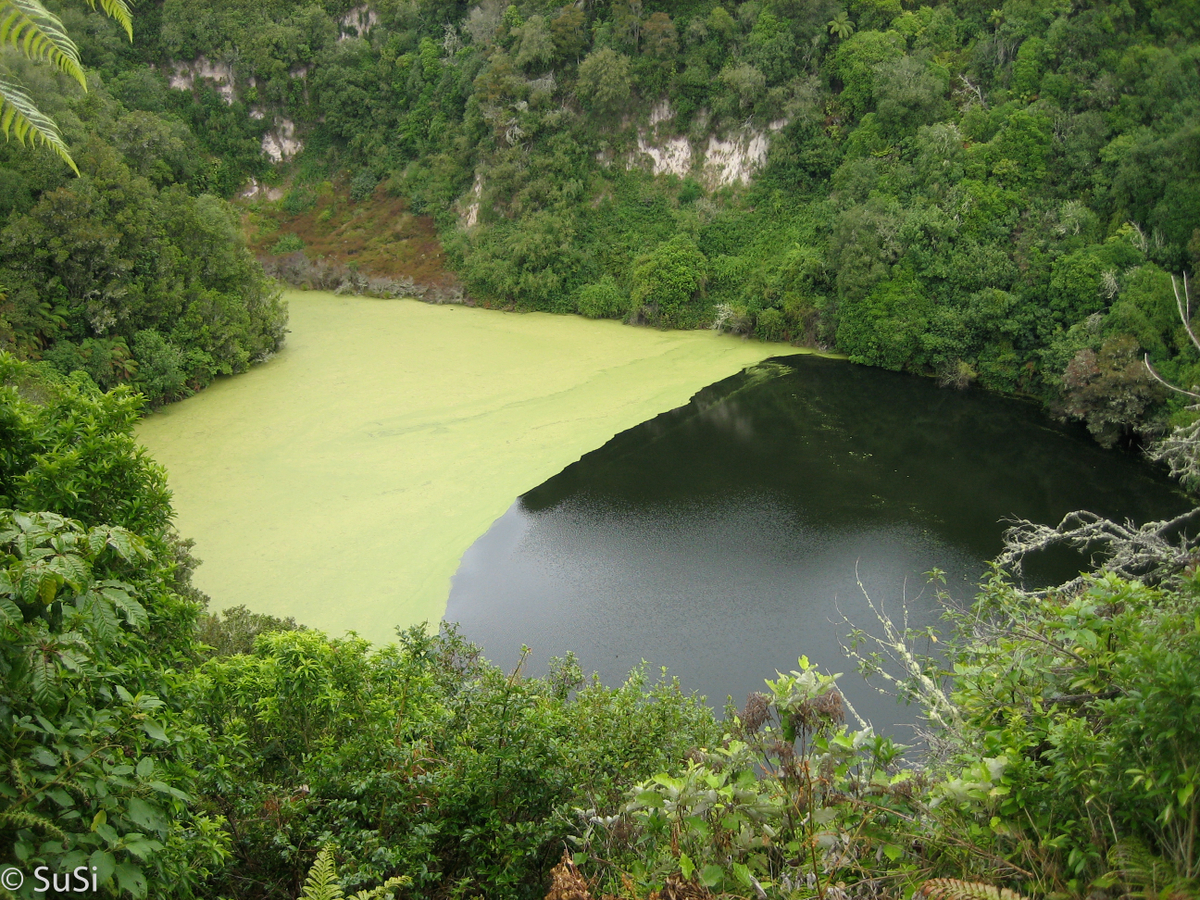 Waiotapu Thermal Reserve und Waimangu Vulcan Valley