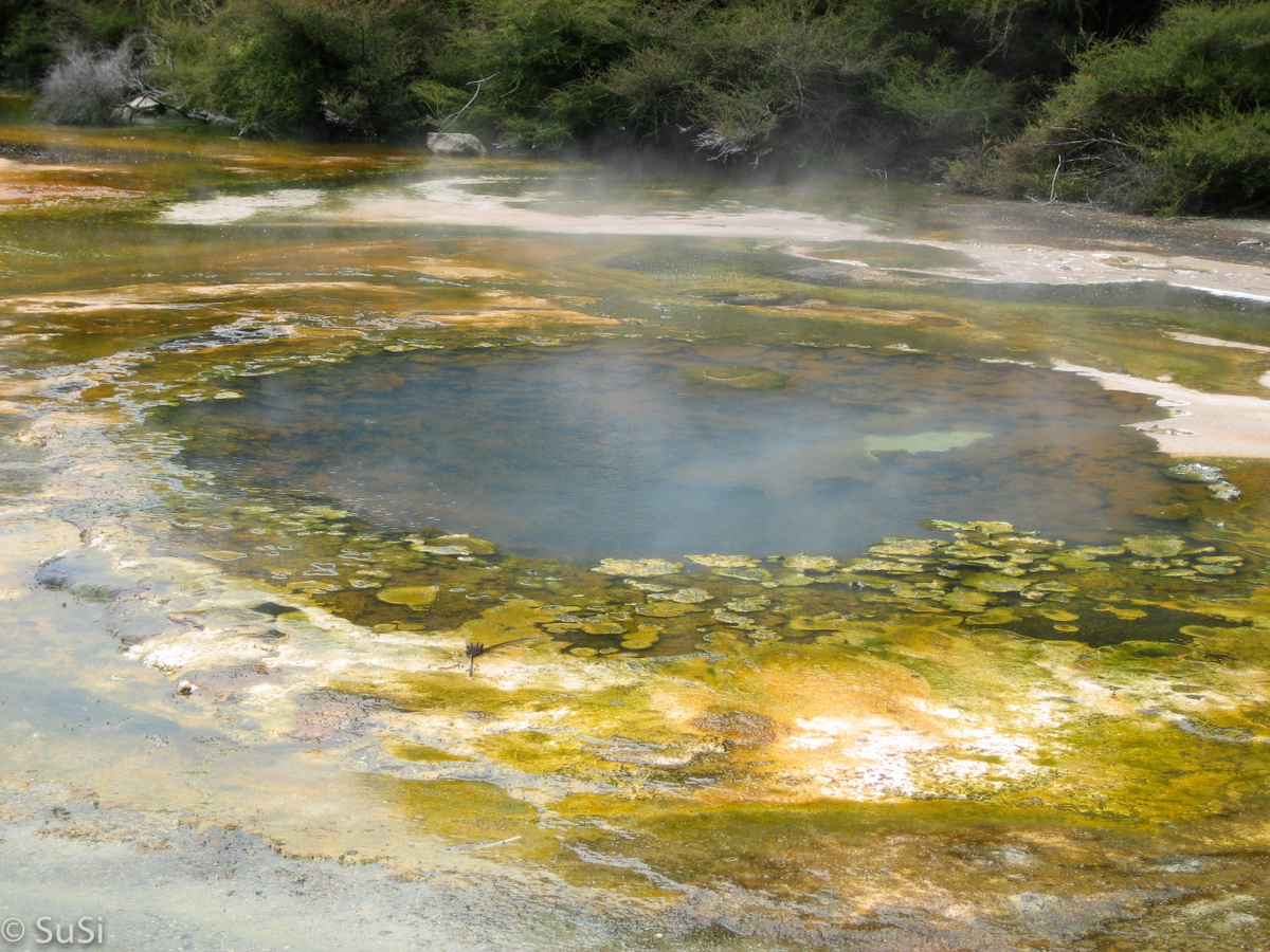 Waiotapu Thermal Reserve und Waimangu Vulcan Valley